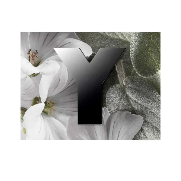 YVES SAINT LAURENT Y Eau de Parfum Para Hombre